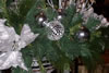SDC10462